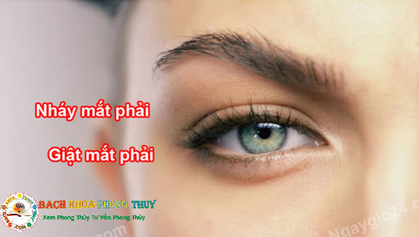Máy nháy liên tục bên phải có điềm gì? Máy nháy liên tục bên phải có điềm gì?