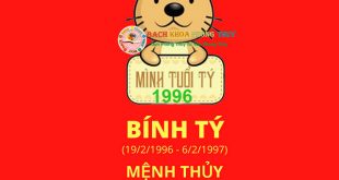 Nam nữ sinh năm 1996 tuổi gì, mệnh gì, phong thủy đầy đủ chính xác