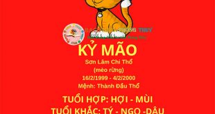 Cách tính nam nữ sinh năm 1999 tuổi Kỷ Mão, mệnh Thổ