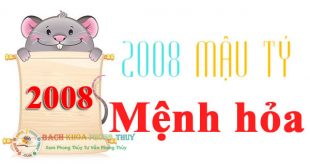 Nam nữ mạng sinh năm 2008 mệnh gì? Tuổi gì? hợp màu gì nhất