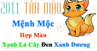 Nam nữ sinh năm 2011 mệnh gì, tuổi gì hợp màu gì?