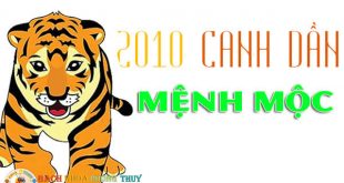 Người sinh năm 2010 mệnh gì, tuổi gì hợp màu gì nhất?