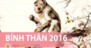 Hướng dẫn tính sinh năm 2016 tuổi gì, mệnh gì, hợp màu gì?