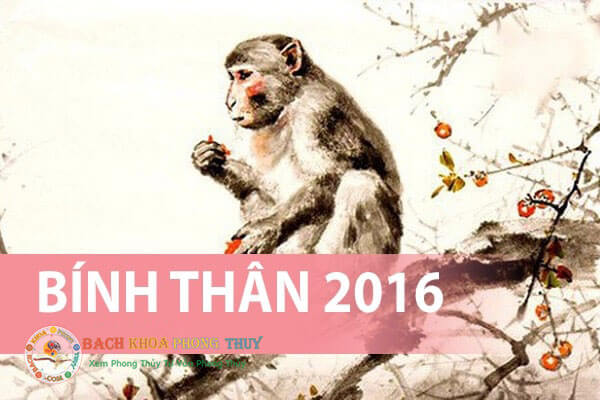 Hướng dẫn tính sinh năm 2016 tuổi gì, mệnh gì, hợp màu gì?