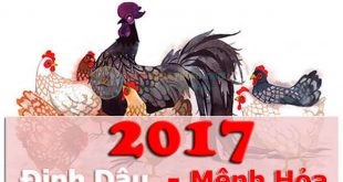 Sinh năm 2017 năm đinh dậu mệnh hỏa