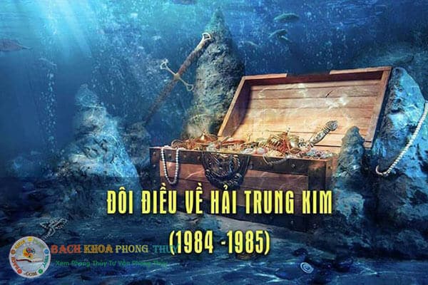 Điểm chung của Hải Trung Kim 1984 và 1985